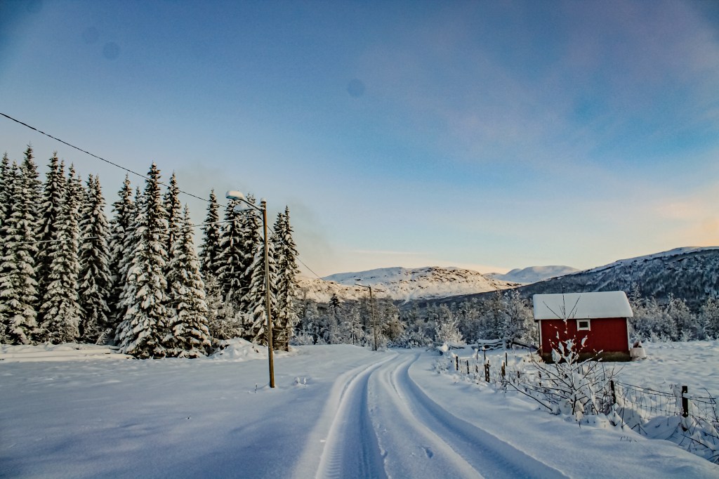 Fånga vinterns magi – 3 kreativa idéer för vintriga&nbsp;fotoshoots