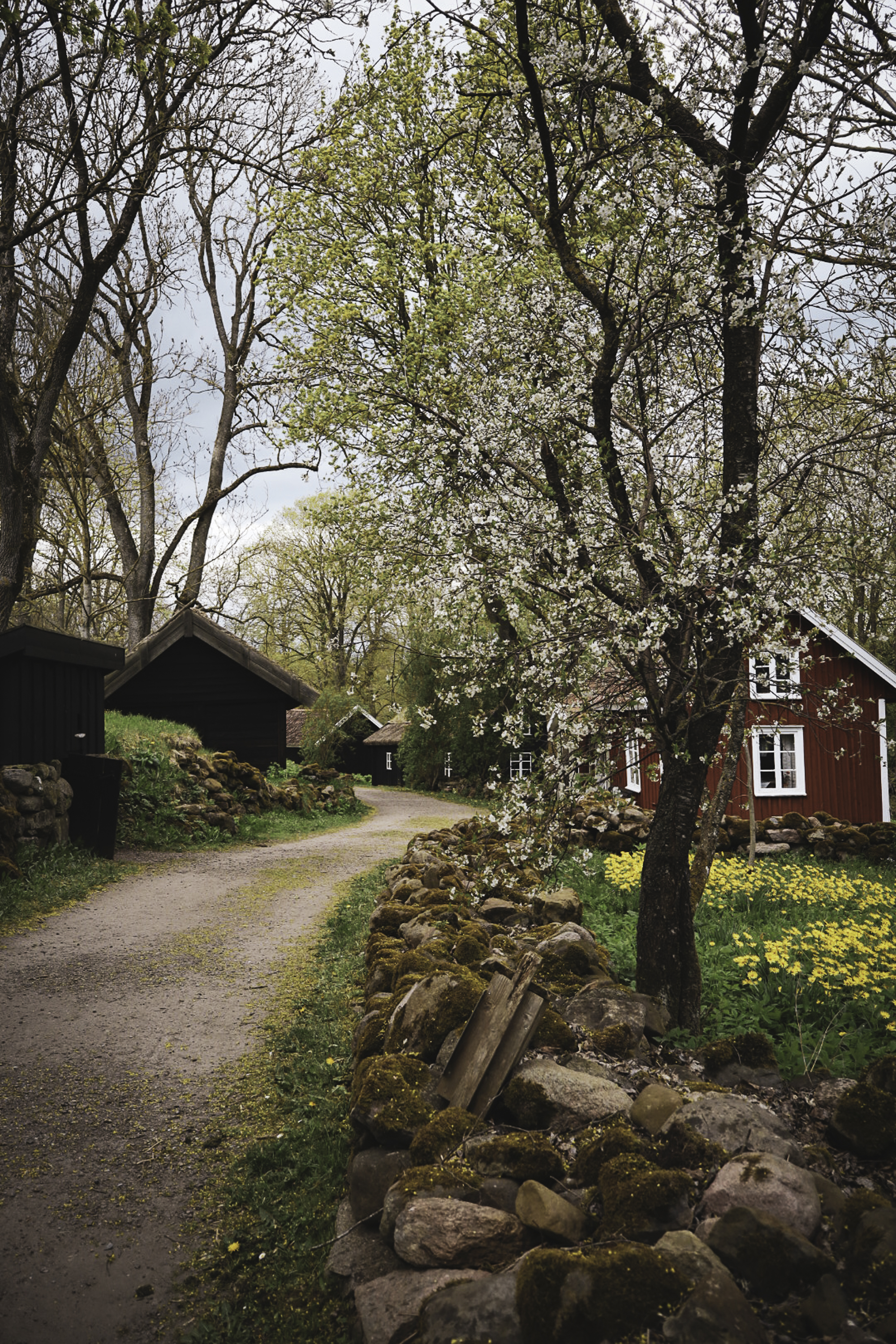 A village called Asle Ta in Sweden