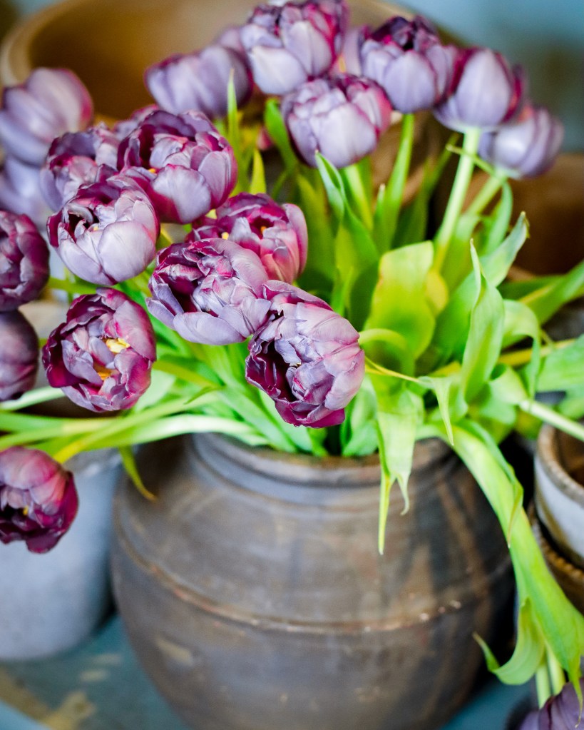 Flowers in a pot in violet