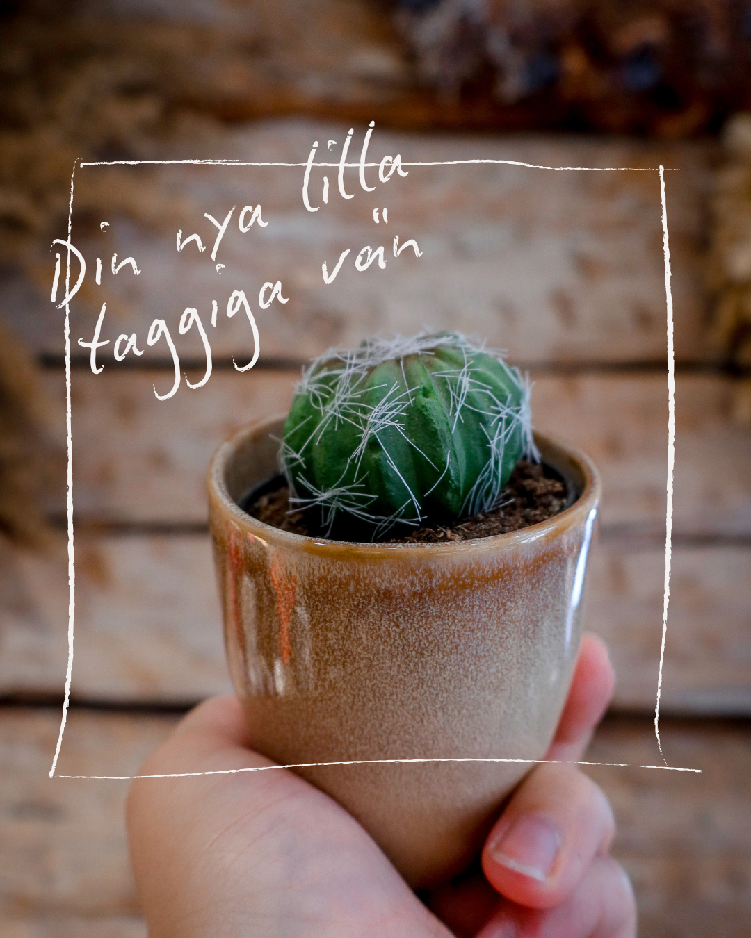 Innehållsproduktion för Interflora Johanneberg i Lidköping